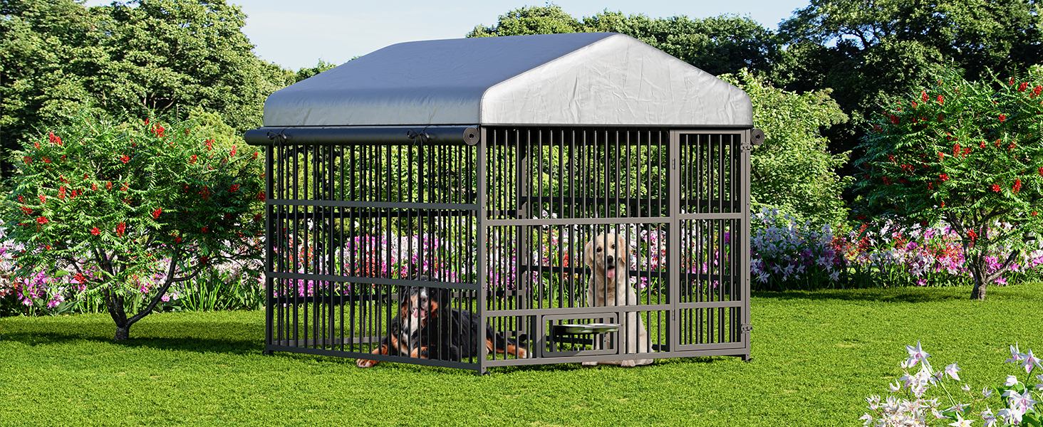 BK220GW03 Outdoor -Hundezwinger Zwinger