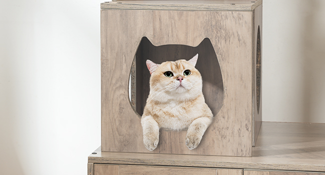 Cat Cozy Nook